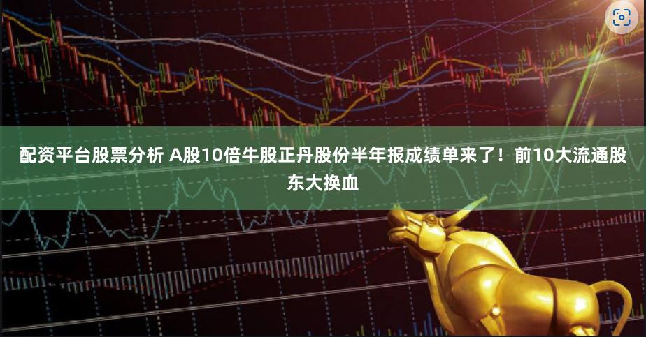 配资平台股票分析 A股10倍牛股正丹股份半年报成绩单来了！前10大流通股东大换血